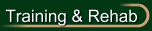 Horse Training & Rehabilitation